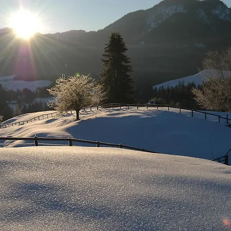 Lägenhet Ball - Kometterhof Hermagor-Pressegger See