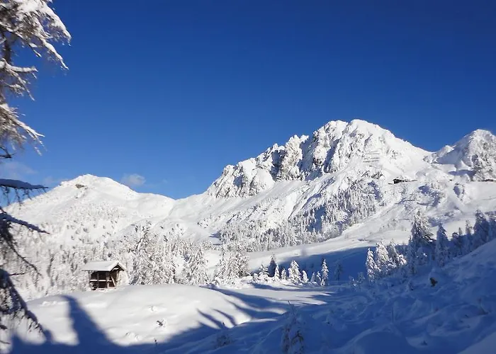 Apartament Ball - Kometterhof *