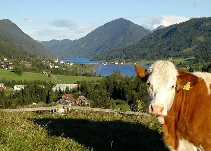 Apartament Ball - Kometterhof Hermagor-Pressegger See